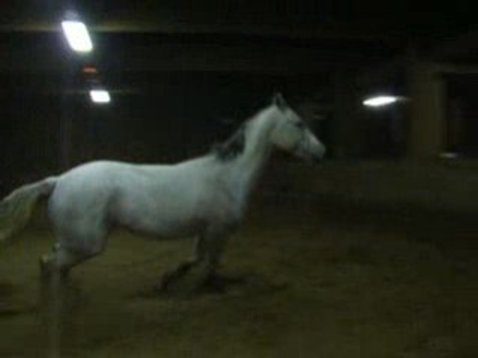 Oeil d'Or - Liberté - 04/01/09