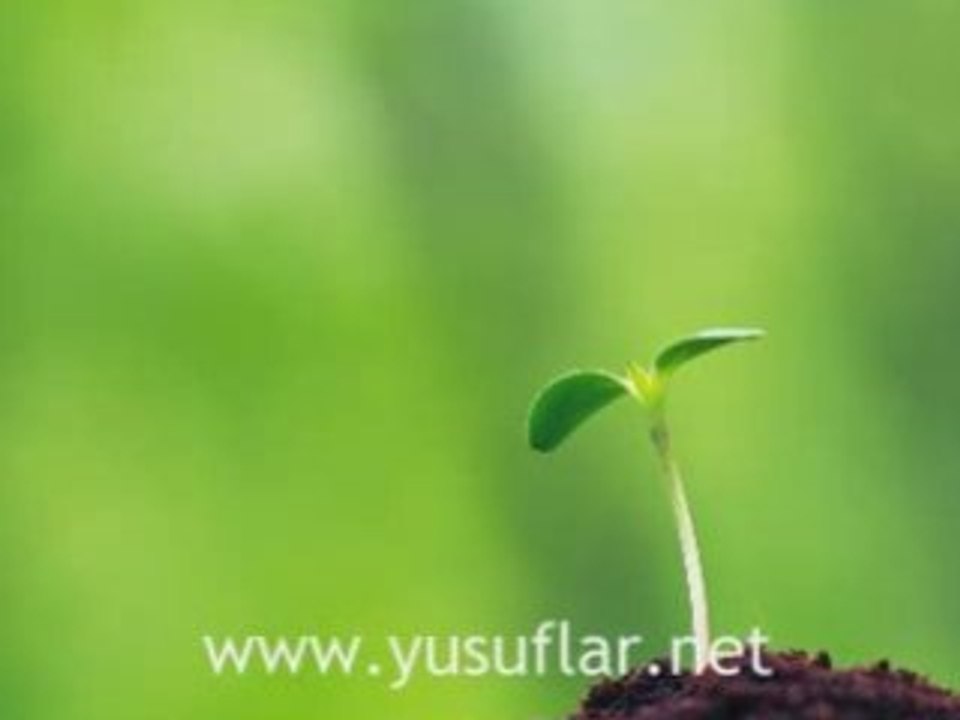 Felak Suresi Dinle