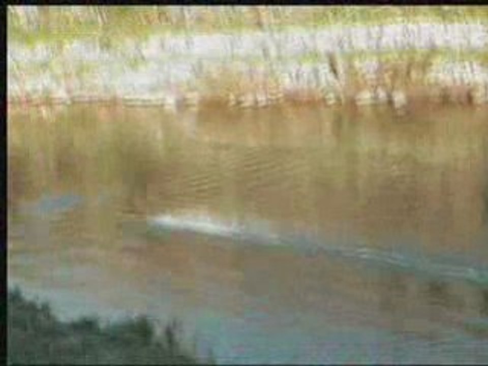 offshore rc agitator 4s2p k42