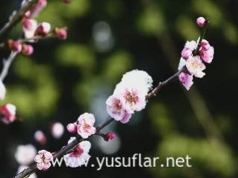 Haşr Suresi Dinle Dailymotion Video