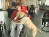 Dyadis, chiens d'aide pour personnes handicapées physiques
