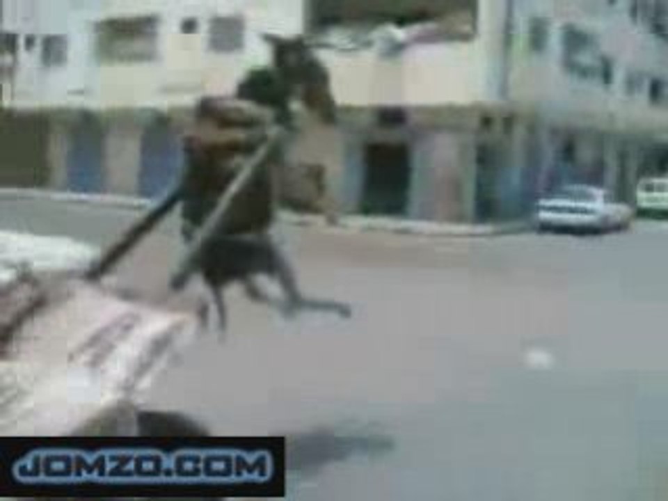 Logistics Fail