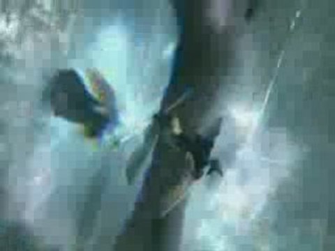 Cloud VS Sephiroth Advent Children