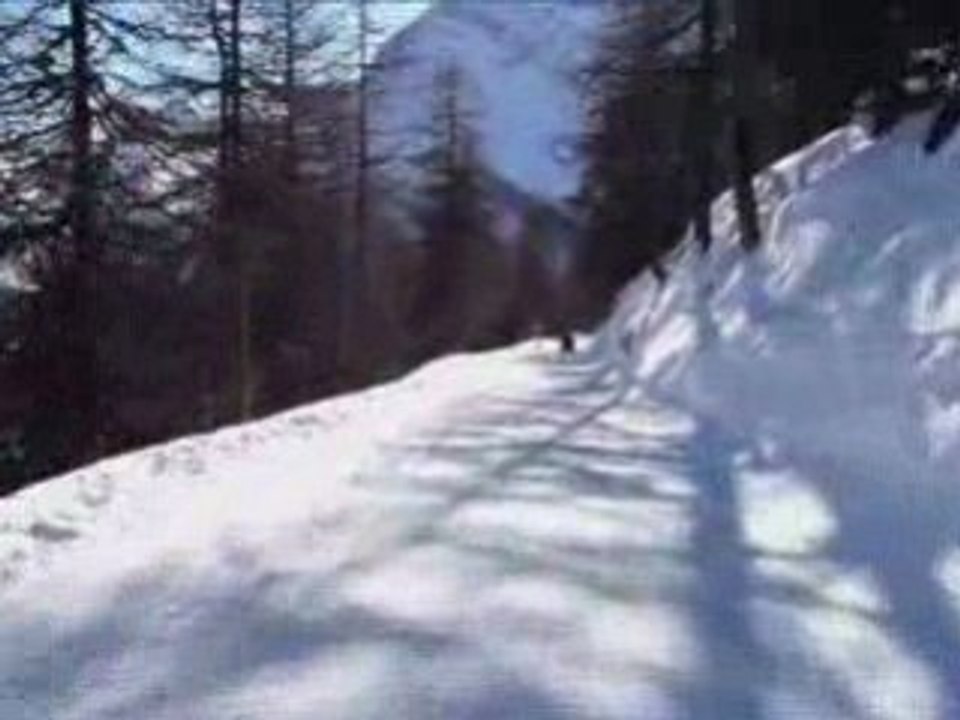 Luge au Hanig - Saas Fee