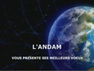 Voeux andam 2009