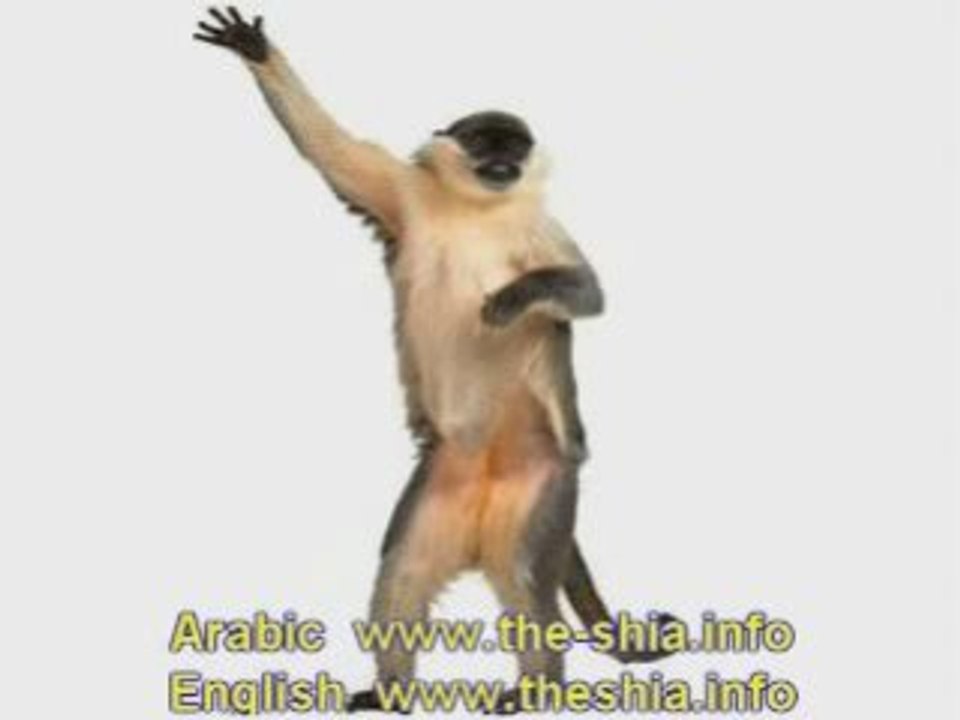 نشيد مقتدى الصدر ابن المتعه