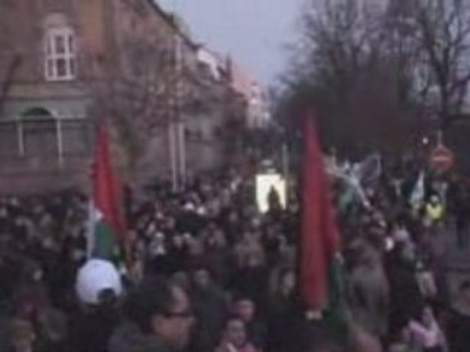 Manifestation contre la barbarie sioniste à Gaza 3