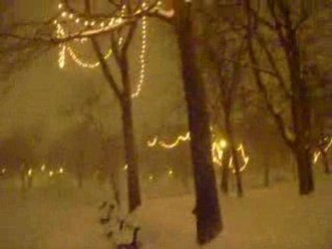 1er neige parc lafontaine a montreal