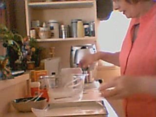 Annie Capil Wheat and Gluten Free Recipe book/pdf