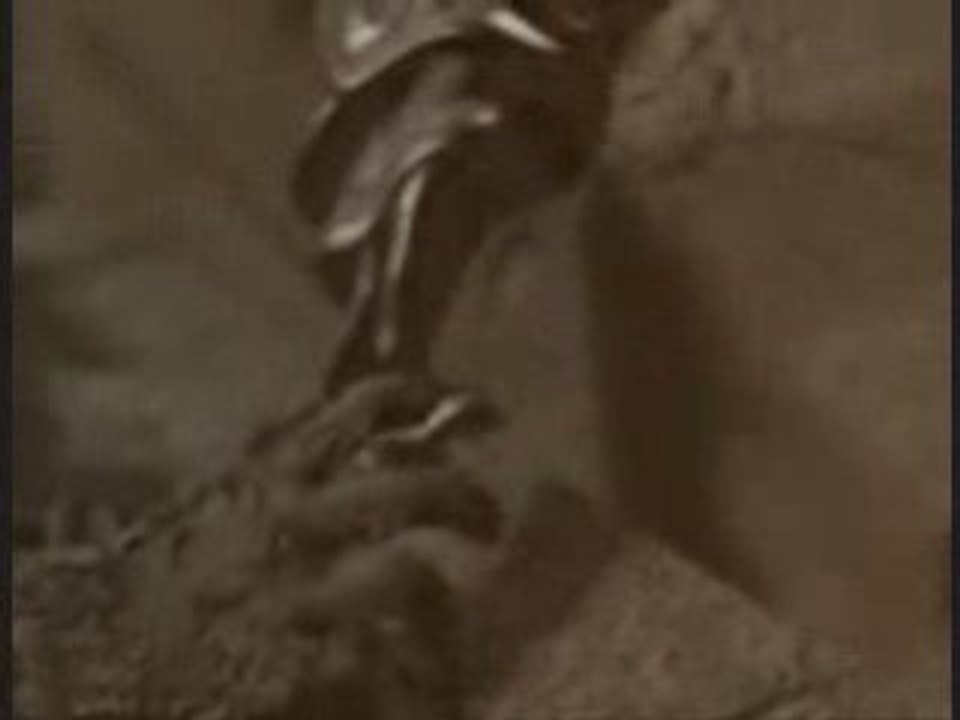 Legend of Dragoon -- Decode