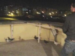 ABDULLAH ÇAYCI/ŞANLIURFA www.guvercinurfa.com