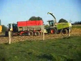 Ensilage de maïs 2008