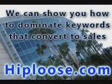 San Diego SEO services by Hiploose.com 888-520-3621