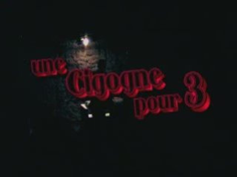 1 CIGOGNE POUR 3 1er DVD