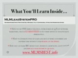 Generation Lead Real Time MLM, Get Free MLM Leads