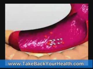 What Are Coenzymes? Key to Enzyme Function 🔑