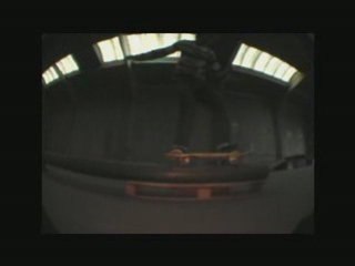 ANDRE AT THE LANDINGS