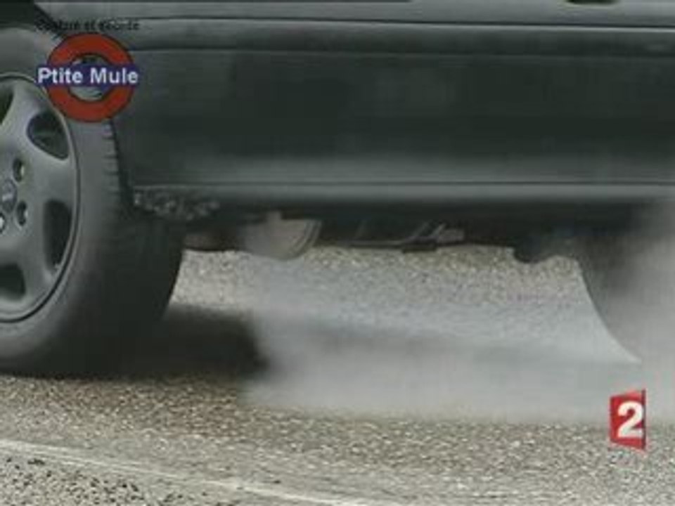 Pollution et mortalité