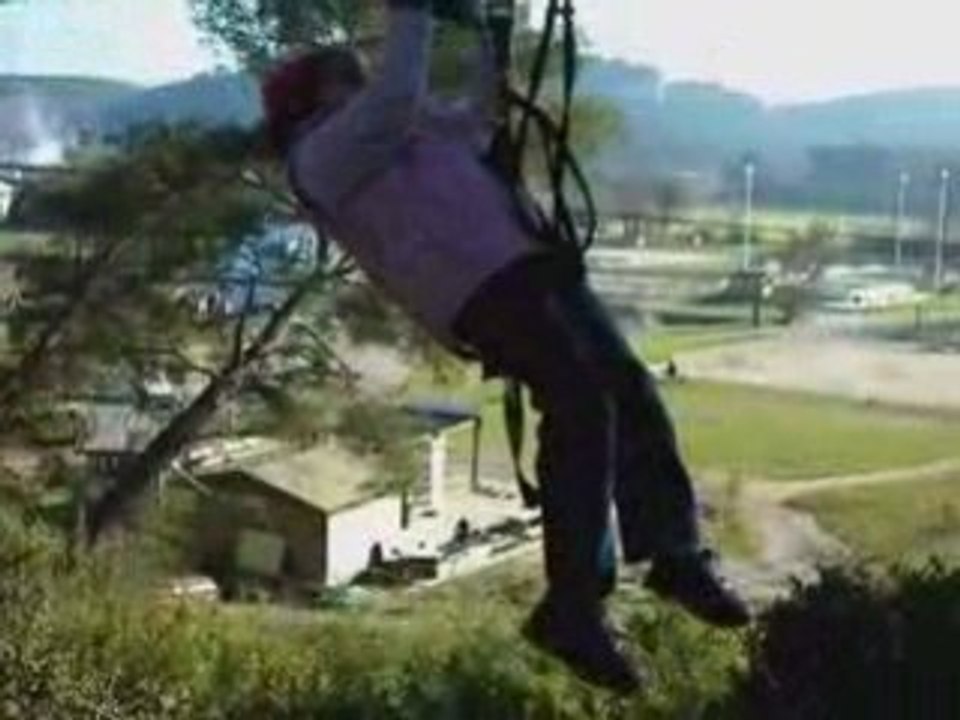 Accrobranche andrea dans les arbres