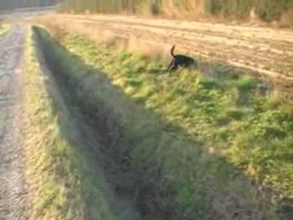 Echauffement quotidien d'un sportif