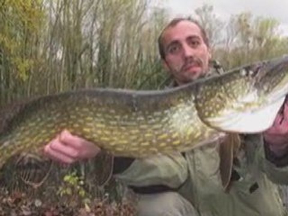 Extrait reportage SEASONS / ROOTS-FISHING