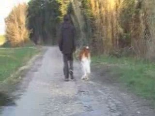 Aldo marque son passage sur le chemin