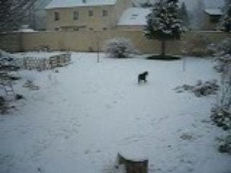 Patouche et la neige