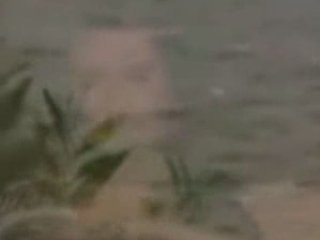 Barış akarsu yeterki