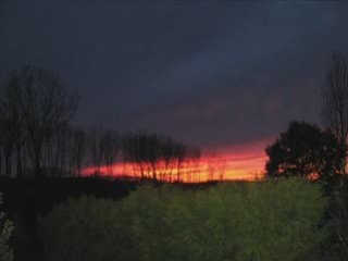 Blog Lucas 2008 11 Novembre 2