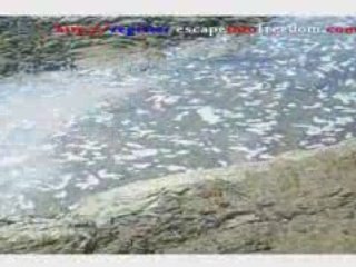 Beach Walk on Playa Blanca