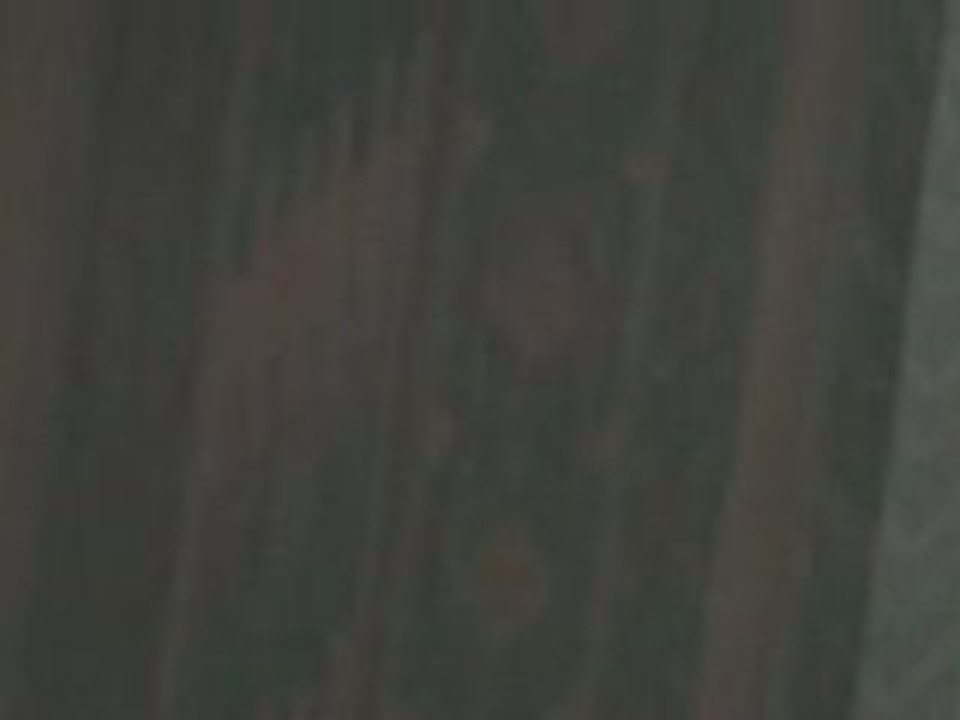 CLIP0054gfhg