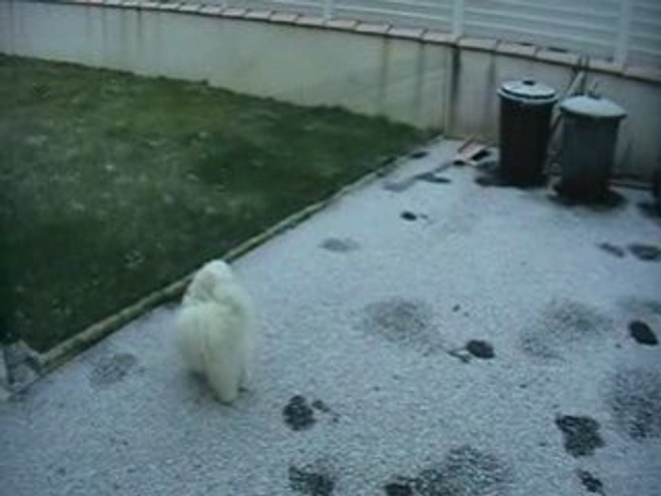 premiere neige pour chouchou et diégo
