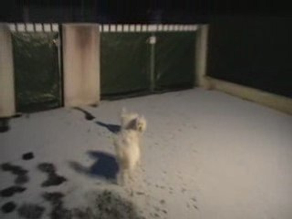 chouchou et diégo et la neige