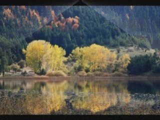 cimilli ibo rizeden ciktim yola