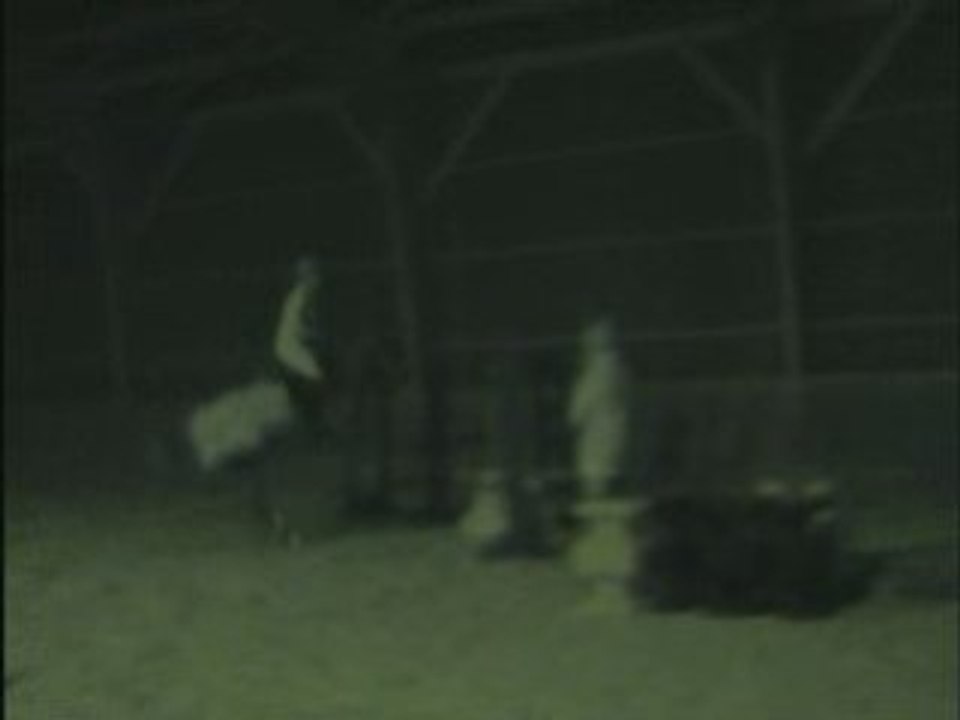 Cours CSO JEudi SOir