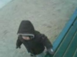 le promeneur du champ de mars