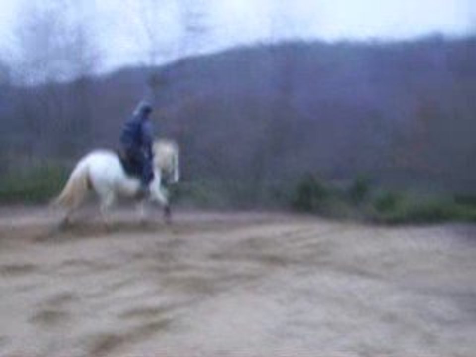 Mega Carrière: Gwen & Mimi