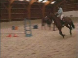 Emeline & Nina des Franc Bois