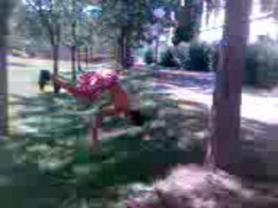 moi en mode salto mdrr