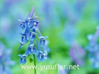 Kiyamet Suresi Dinle