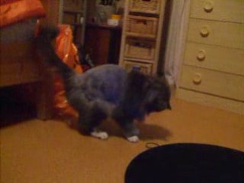Ester goes wild and crazy