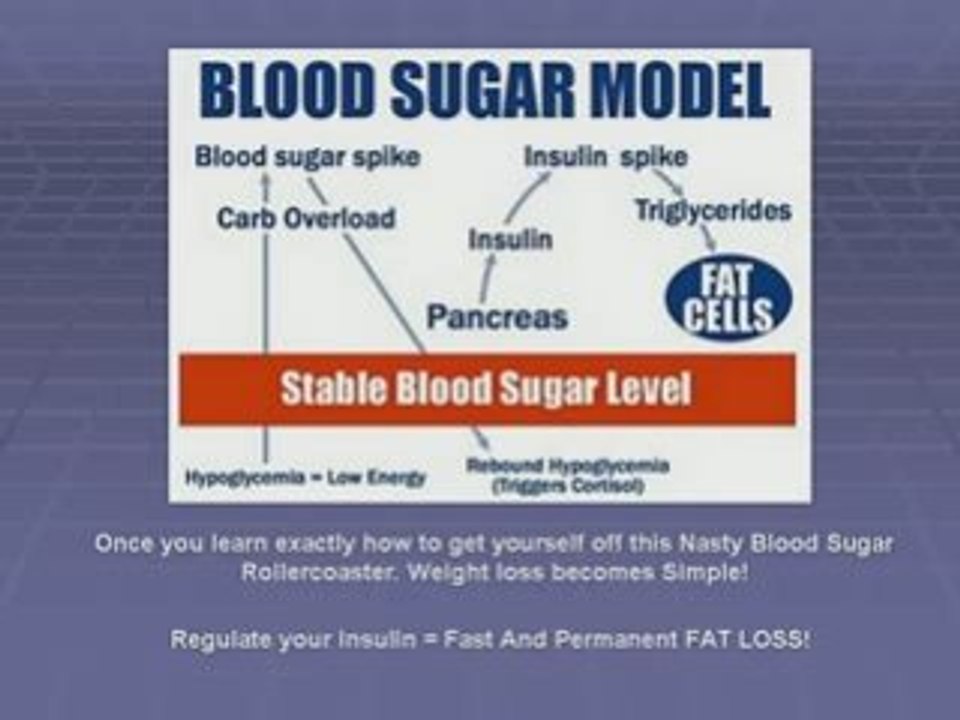 Fat Burning Diet