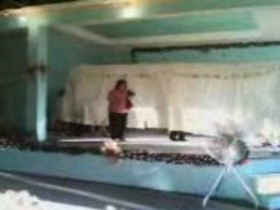 Video lab presentation