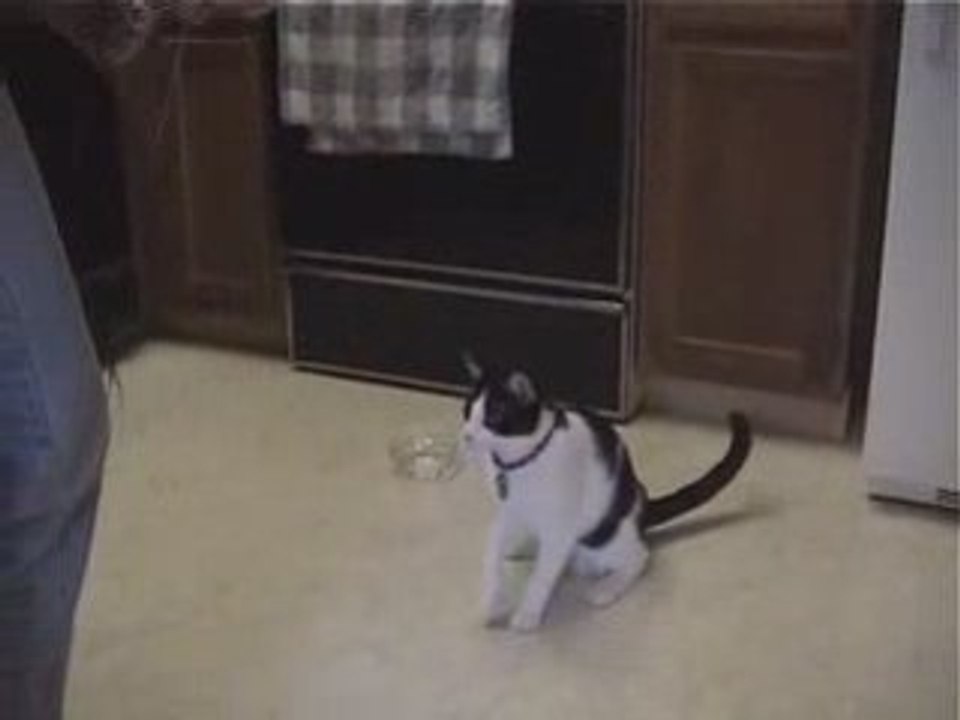 Don't Have A Panic Attack Like This Pussy