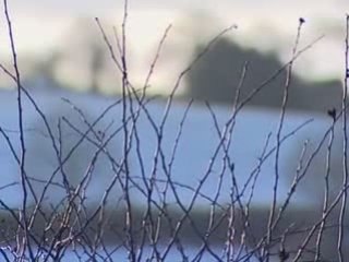 Temperatures fall well below zero