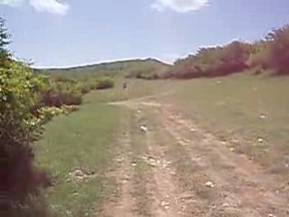 Cr_125_honda
