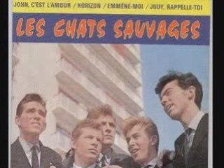 LES CHATS SAUVAGES AVEC MIKE SHANNON