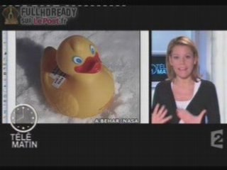 La Nasa a perdu 90 Canard dans l'arctique [news]  f2 060109