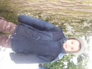 voeux pour les colleys