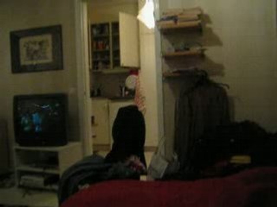 Bild 222